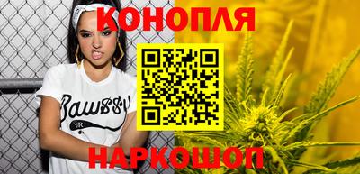 a pvp Камышлов
