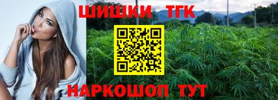 гидра Кингисепп