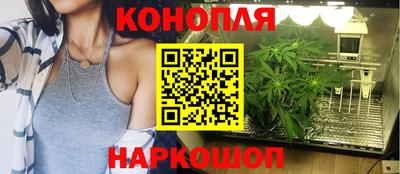 гидра Кингисепп