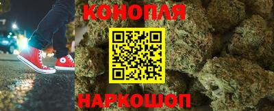 сатива Кимры
