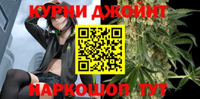 a pvp Камышлов