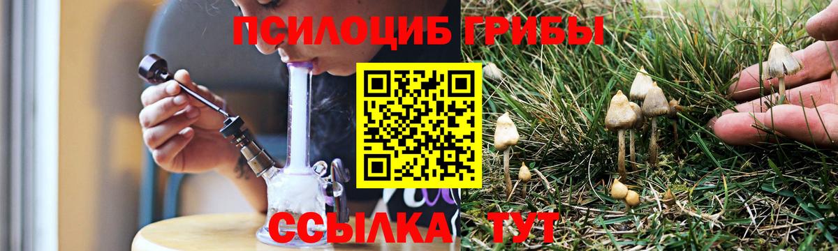 Псилоцибиновые грибы ЛСД  Псилоцибиновые грибы Cubensis  наркотики  Вход с VPN  Чехов 